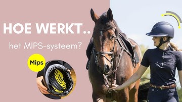 Hoe werkt het MIPS-systeem? 🟡 | Hoe werkt