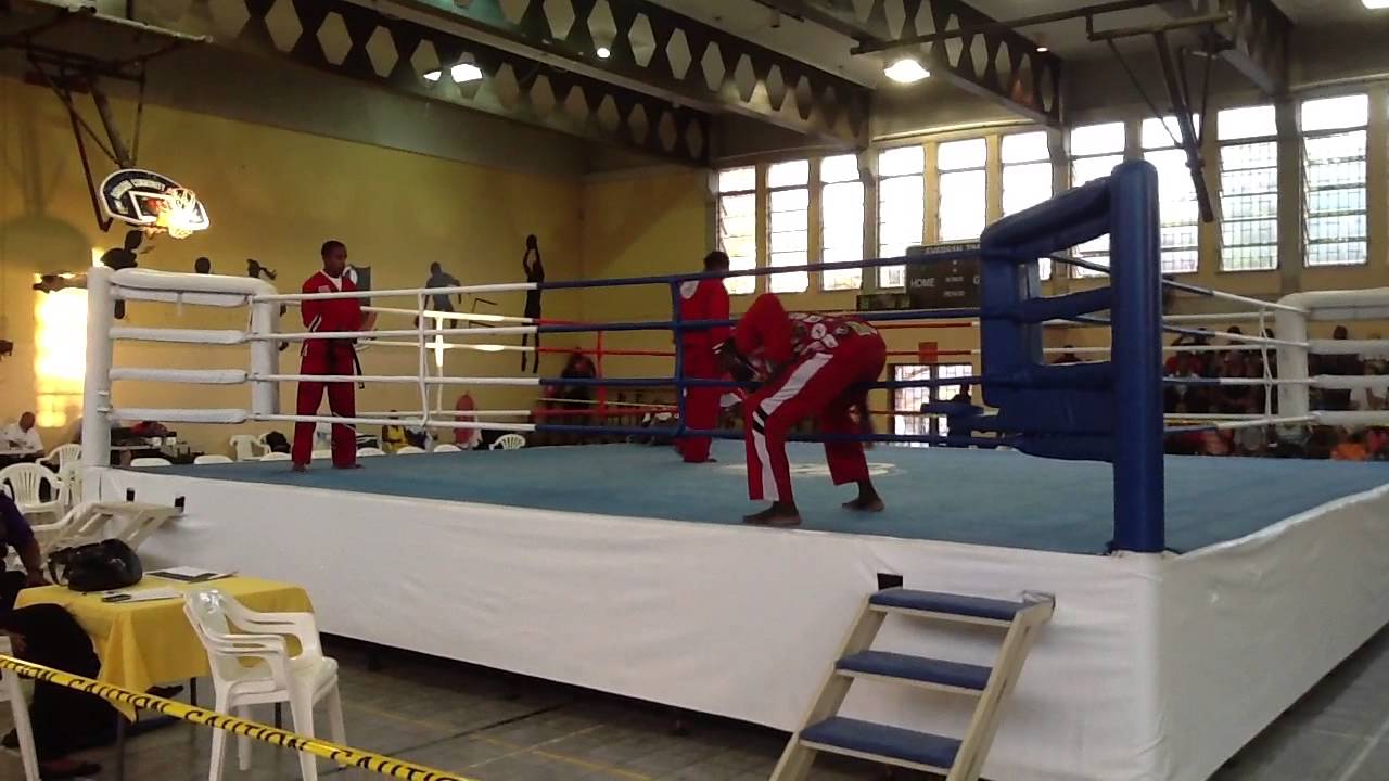 Team trinidad and tobago martial arts demo barbados championships 2013