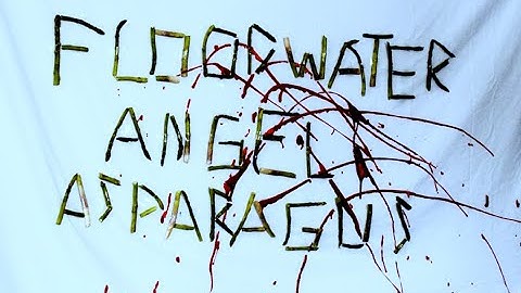 Asparagus - Floodwater Angel (Official Music Video)