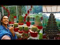 😱 இப்படி எல்லாம் Cactus 🌵செடி இருக்கா 🤩 | Munnar cactus garden 💐| lovelyyprakash |