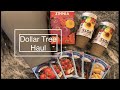 Dollar Tree Garden 2021 Haul, Supplies and Ideas New Finds