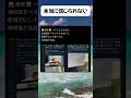 #高市早苗 #自民党 #税金 #政治