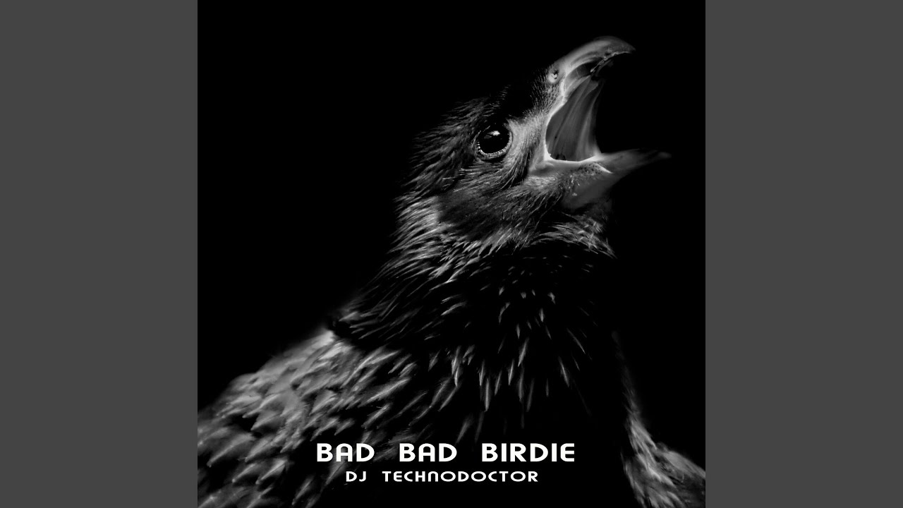 Bad Bad Birdie YouTube