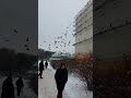 В Москве снег...