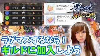 【ラグマス】完全に入り得！初心者向けギルド加入のメリットを紹介！新規スタートギルメン募集【ラグナロクマスターズ】