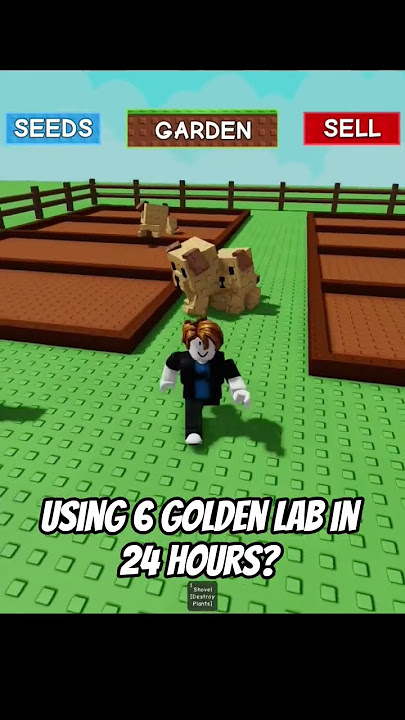 Using 6 Golden Lab in Grow a Garden #growagarden #roblox