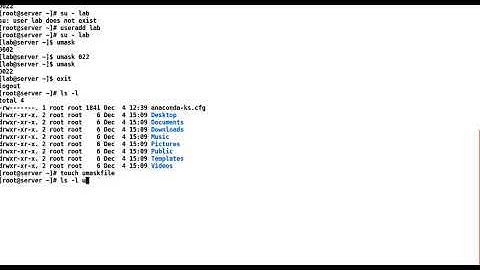 CONTROLLING ACCESS TO FILES WITH LINUX FILE SYSTEM PERMISSIONS