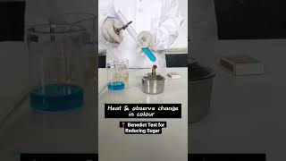 📍 🧪 Benedict’s Test for Reducing Sugars | Principle, Reaction & Color Changes. #medicalbiochemistry