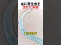 血に寄生虫を混ぜた末路