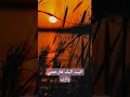 اتيت اليك فارحمني يارب انشودة