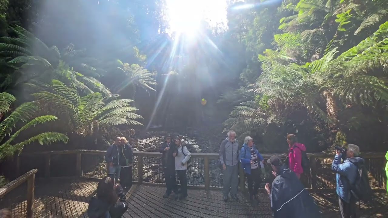 🌿Russell Falls–Passeggiata a Mount Field National Park di Hobart 🌧️✨World Tour 2024 Costa Deliziosa