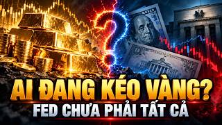 Giá Vàng Đang Bị Ai Chi Phối: Fed, USD Hay Lợi Suất Mỹ | BÍ MẬT TRIỆU ĐÔ
