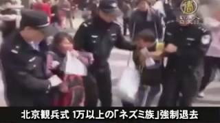 【中国一分間】北京観兵式 １万以上の「ネズミ族」強制退去 20150812