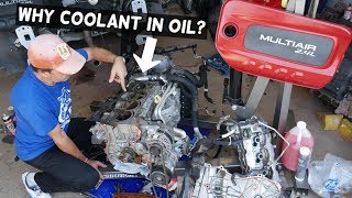 Coolant In Oil, Oil In Coolant Jeep Cherokee, Comp, Renagade 2.4 Multiair