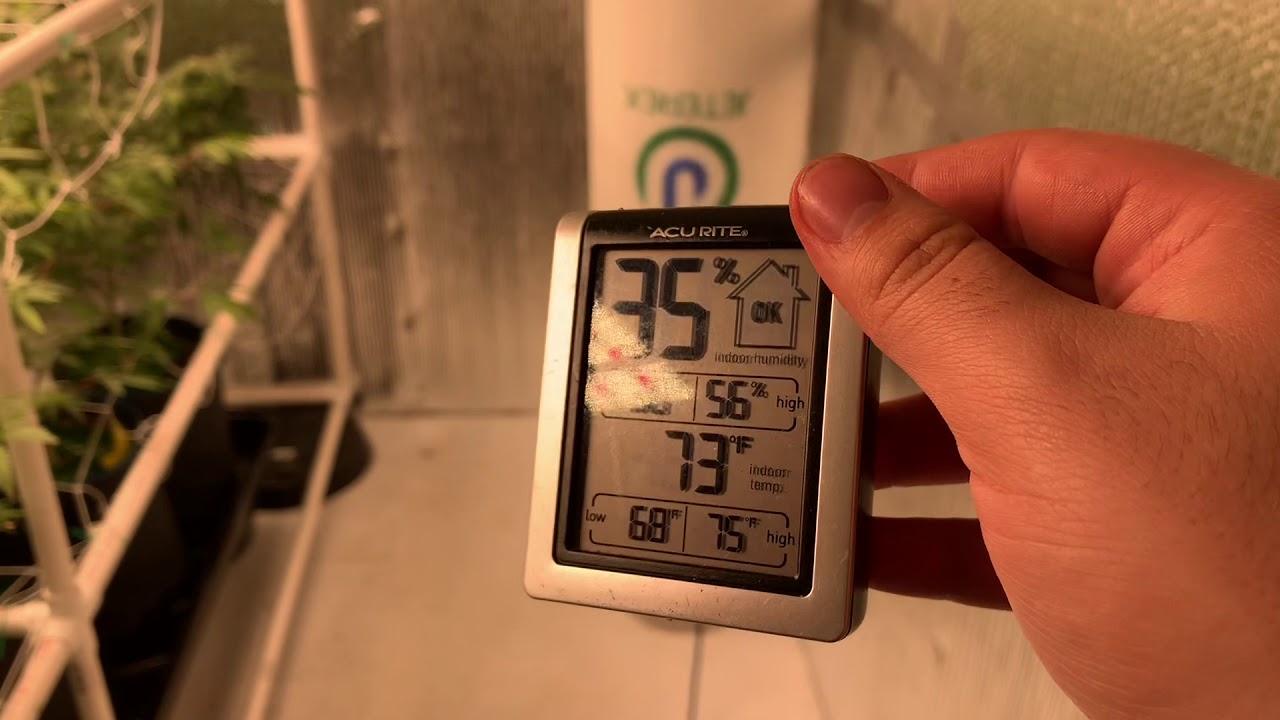 Coco Coir Week 4 of Flower