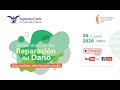 Seminario Internacional sobre Reparación del Daño. Daños punitivos | 26 de jun 2020