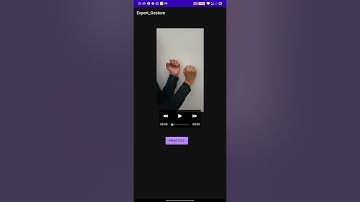 CSE535: Mobile Computing Assignment 2 (Smart Home Gesture Control)