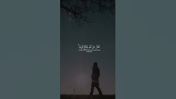 تلاوة تطهر القلب🌿 حالات واتس🌿 من سورة الصف