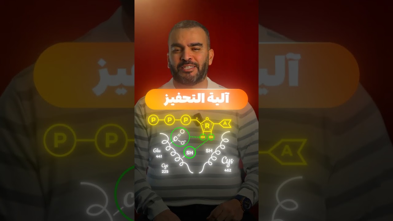 الية النشاط الإنزيمي