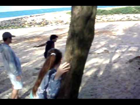 Josney Boy e A Corda do Donkey Kong