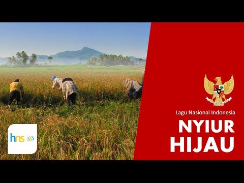 Nyiur Hijau
