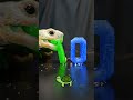 ASMR animal chewing ! #chewingsounds #decompress #asmr