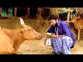        harisree ashokan comedy scenes  malayalam comedy scenes