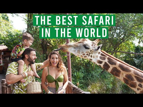 Bali Safari Unbelivable Experience