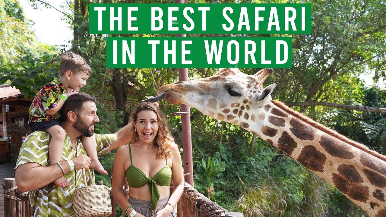 BALI SAFARI UNBELIVABLE EXPERIENCE 