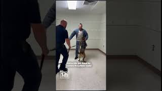 Virginia police K-9s get custom-fit ballistic vests! #shorts