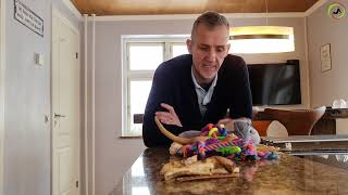 LEGETØJ vs TYGGEBEN I onlinehund dk