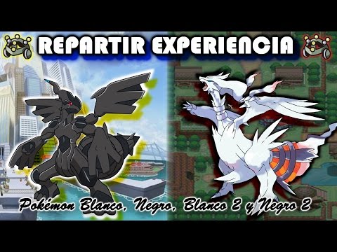 Video: ¿Pokémon negro tiene reparto de experiencia?