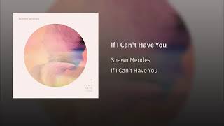 Shawn Mendes - If I Can't Have You