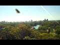 Drone vs Insectos en Lago de Regatas, Palermo