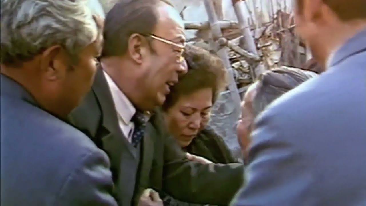 186. Cross Strait Family Visits was Initiated in 1987