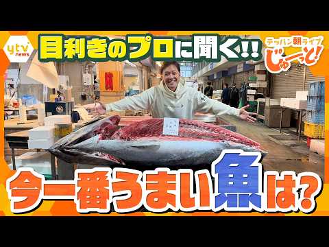 Pro Picks! The Freshest Seasonal Fish & Best-Value Seafood Finds [Must-Watch Morning Live / Morni...