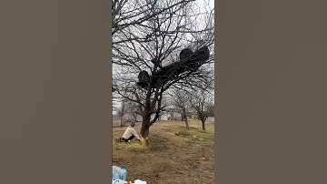 Adam Rose Amazing Video Clips Parts 13 #adamrose #adam #construction #engineering