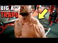 The ULTIMATE Trap Workout For BIG A** TRAPS!