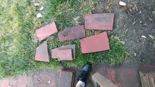 Free Pavers in the Previa from Craigslist for future project