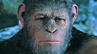 Official trailer for war the planet of apes she is future. meet nova
in first clip from #warfortheplanet and be to #witnesstheend o...