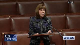 Rep. Kathy Manning (D-NC) - Democratic Party Achievements & Agenda Speech - 1/11/22