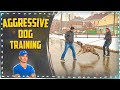 Aggressive dog training. Central Asian Shepherd Dog (Alabai) の動画、YouTube動画。