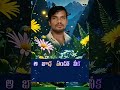 telugu sayri aamaa ni gurutu peti kandi #shortvideo