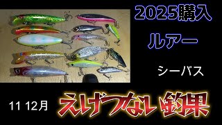 ルアー大量55個以上！早い者勝ち！ Purchased in 2025: Lures that have produced some amazing results