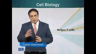 BIO201_Topic134