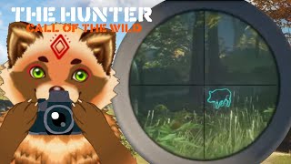 【the hunter call of the wild】パーティー用の食材を手に入れる＃誕生日記念【詰草マカロル/狸Vtuber】