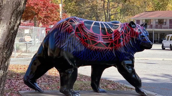 Elk in the Smokies October 2022