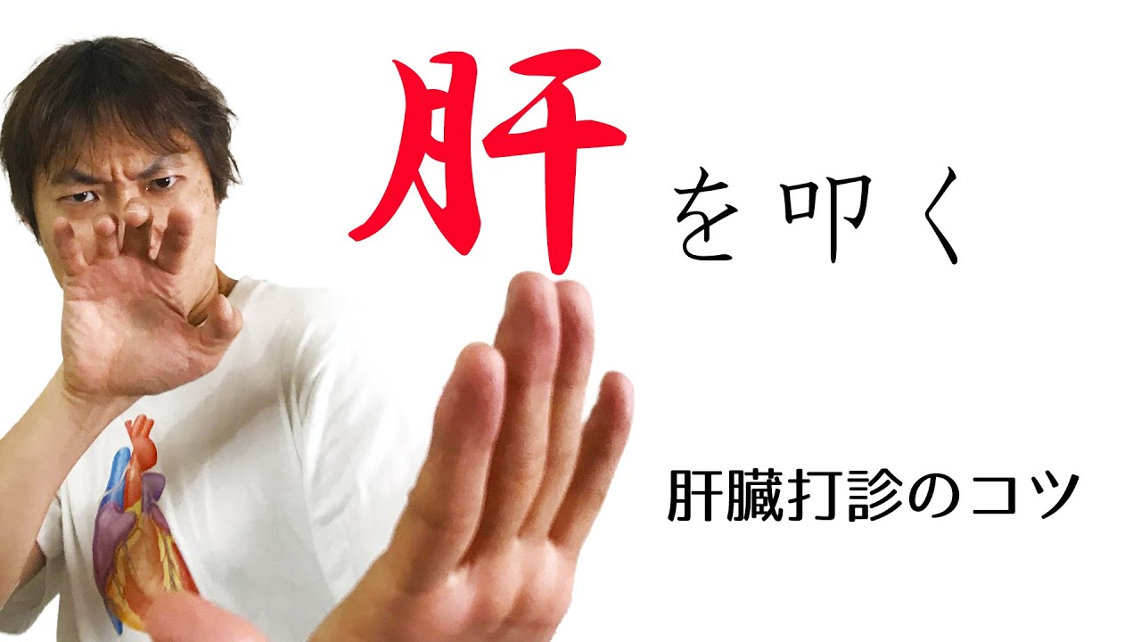 打診方法指 _ 触診 手の使い方 _ 触診や打診で抑えておくべき3つのポイントを解説 – OYTVSA