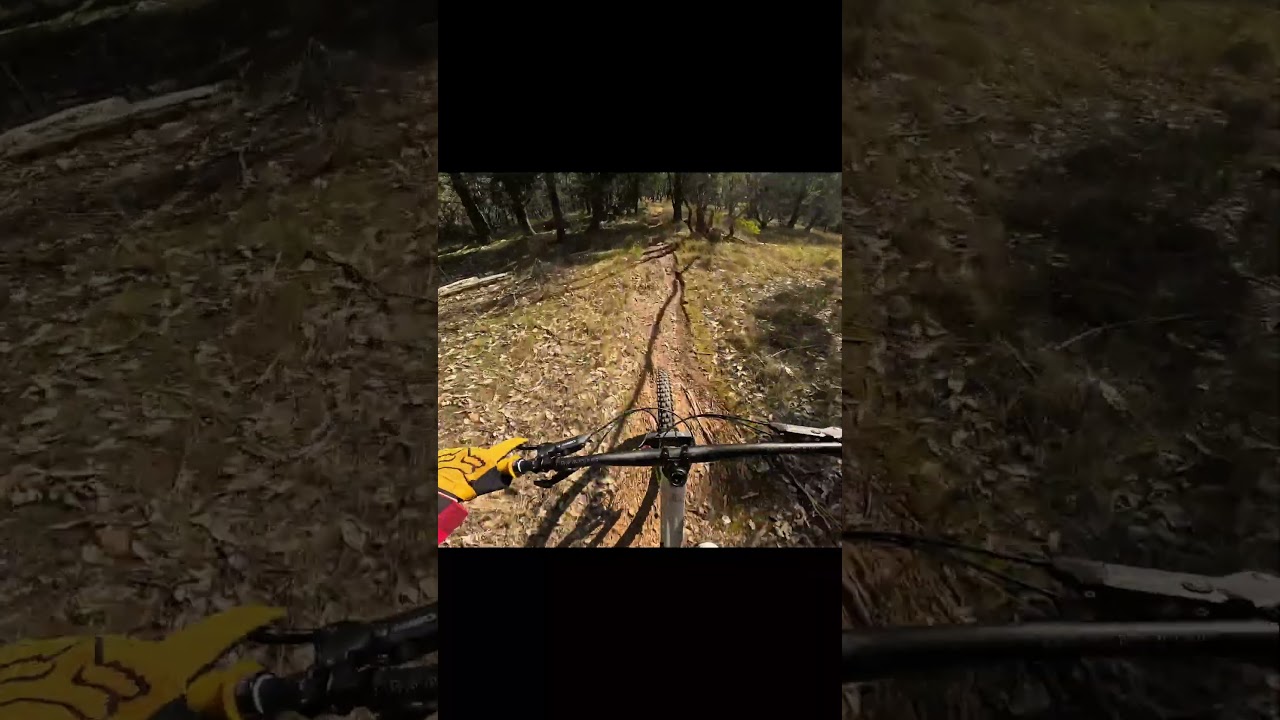 Chunky Trail ASMR 
