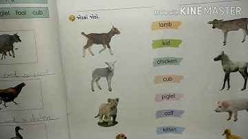 Std 3 Unit 4 Young Ones  Part 2 (Gujarati Medium)